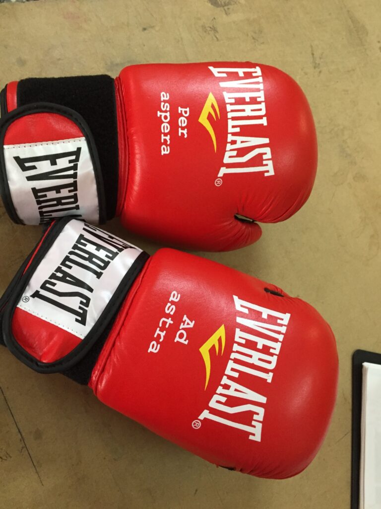 la foto GUANTES BOXEO