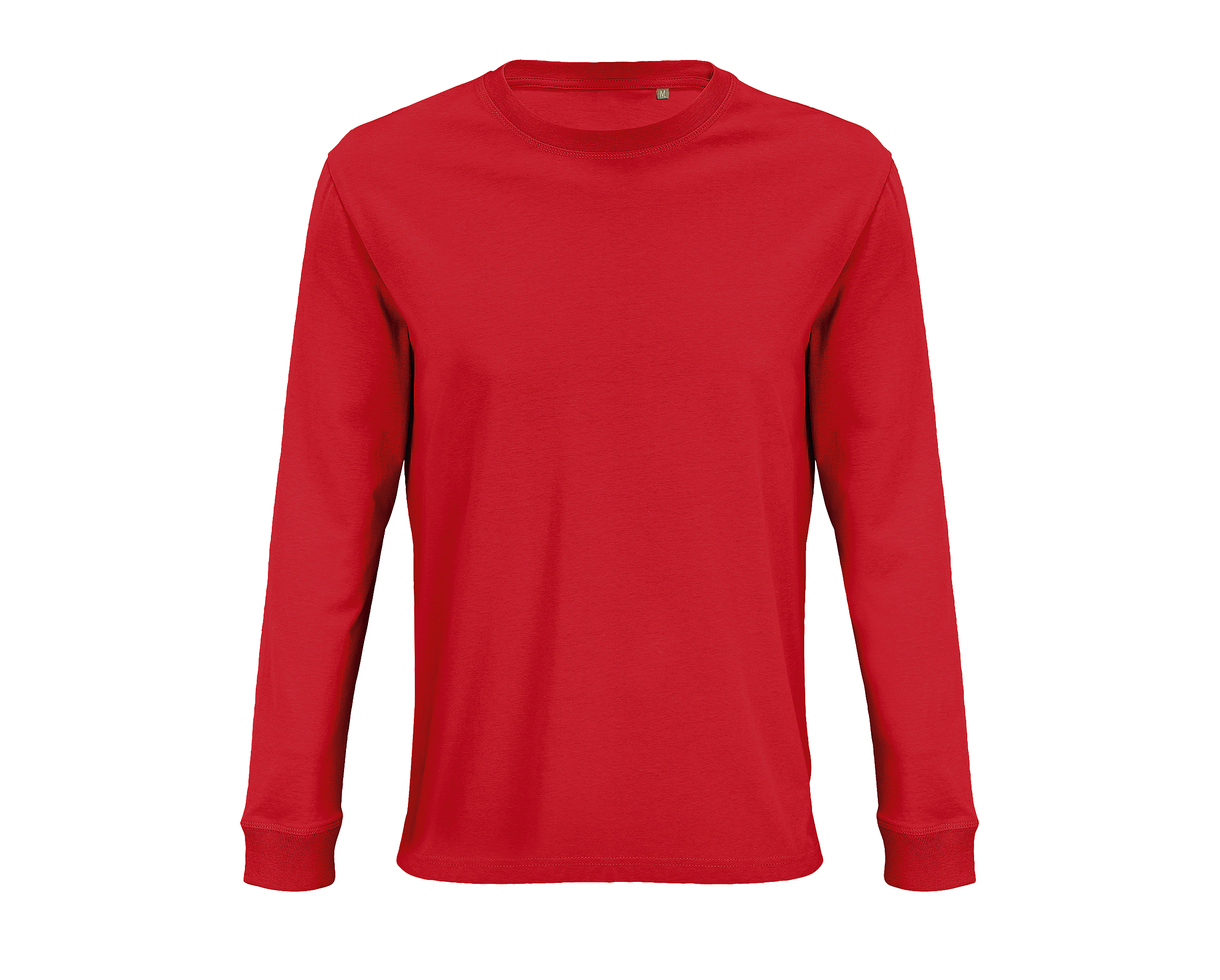8.C Modelo PIO en M/L - Imagen 2
